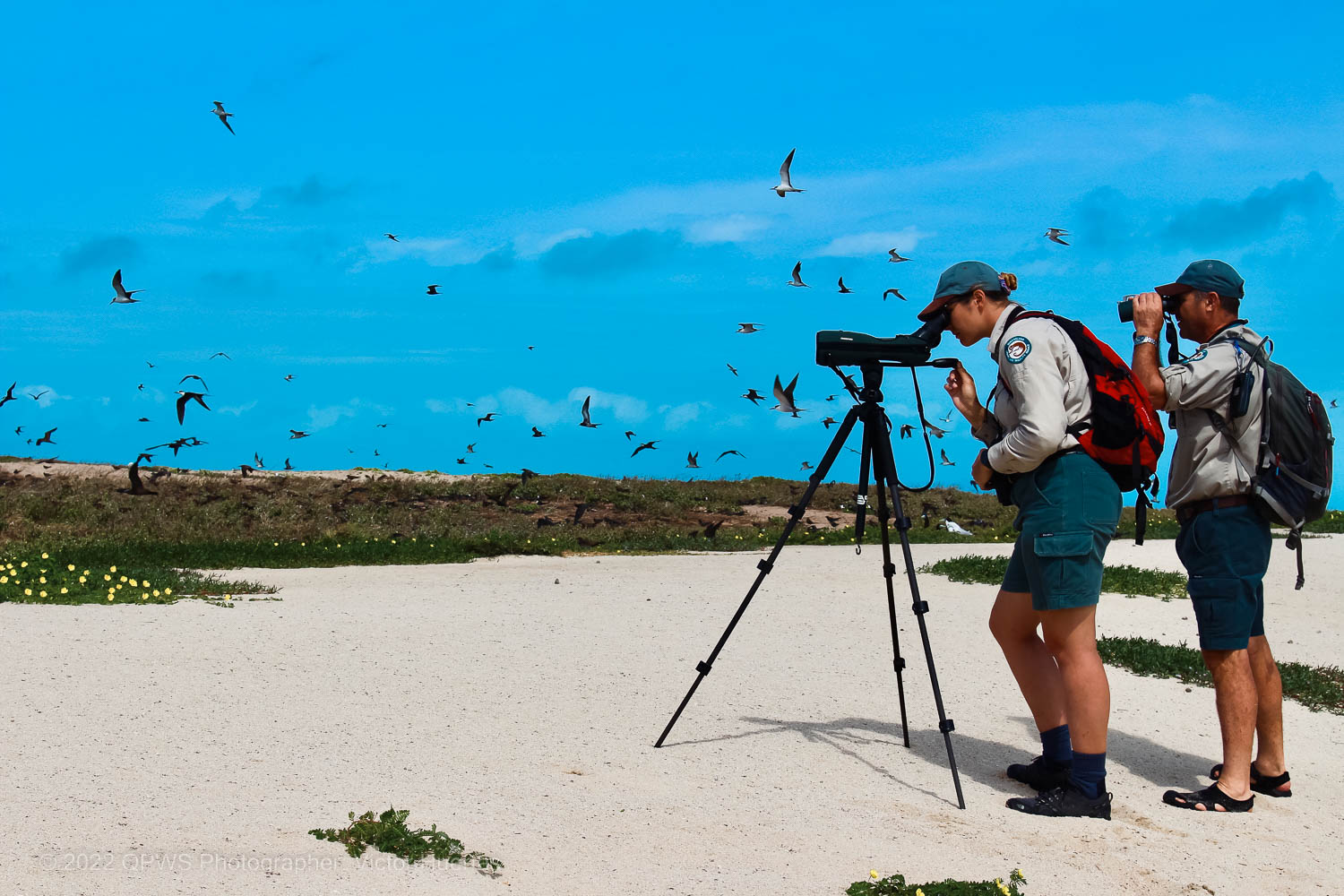 Field management of the Great Barrier Reef Marine Park gbrmpa